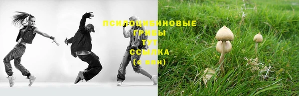 скорость Гусев