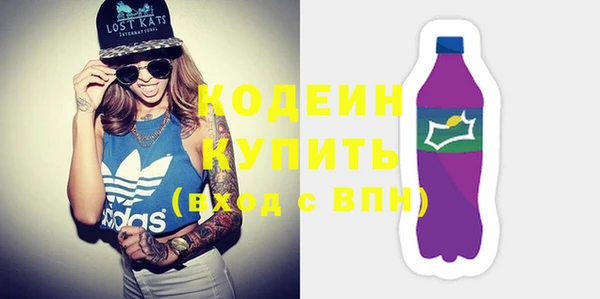 индика Горнозаводск