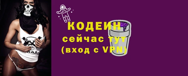 индика Горнозаводск