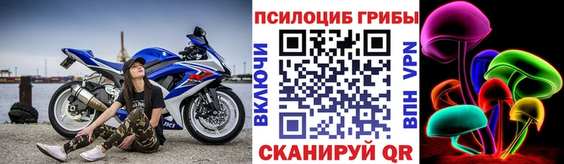 Купить закладки Белорецк Галлюциногенные грибы GOLDEN TEACHER